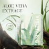 Aloe Vera Soothing Moisturizing Gel