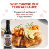 2-8.jpg Teriyaki Soy Sauce Seasoning